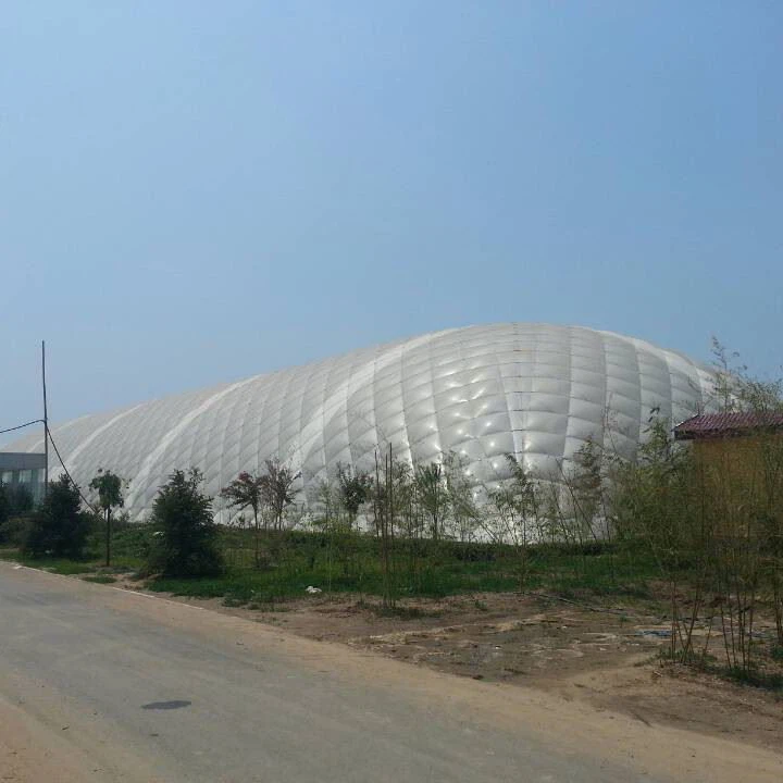 Strawberry Greenhouse