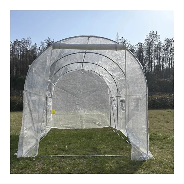 Polytunnel Commercial Factory Price Agricultural Greenhouse